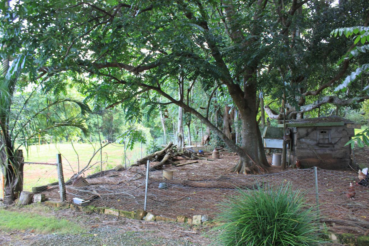 Alstonville Country Cottages Ngoại thất bức ảnh